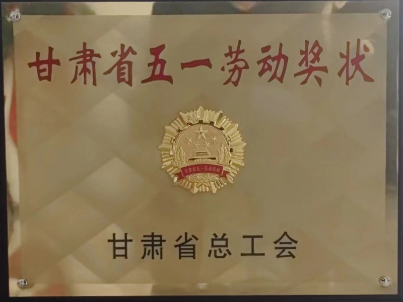 公司召開(kāi)二屆十次職代會(huì)、黨委擴(kuò)大會(huì)、第三十三次股東會(huì)